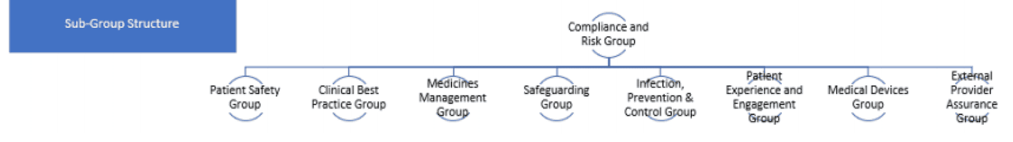 Quality Governancde Committee Assurance Sub-Group Structure